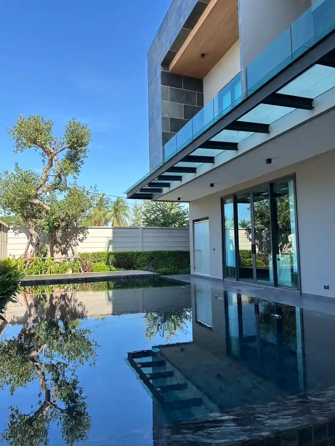 The Arowanyx — photo 4